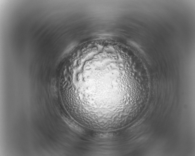 X0000067341403200604071339