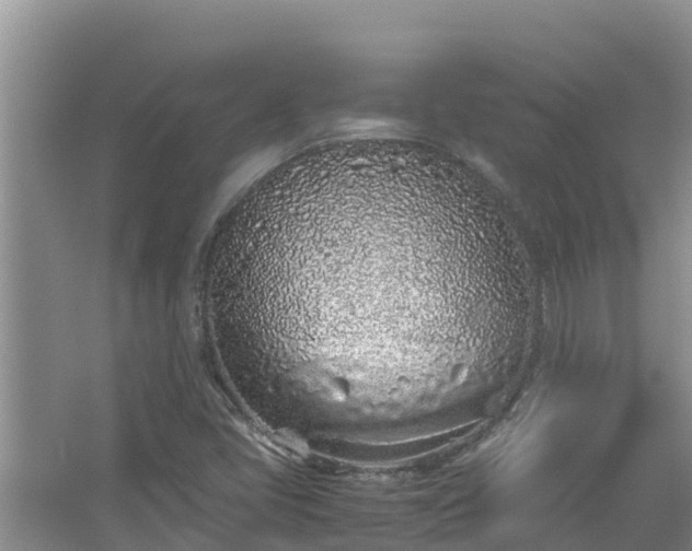 X0000067341405200604071339