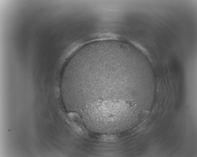 X0000067341407200604071339