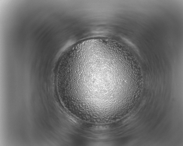 X0000067341411200604071339