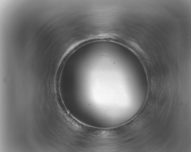 X0000067341412200604071339