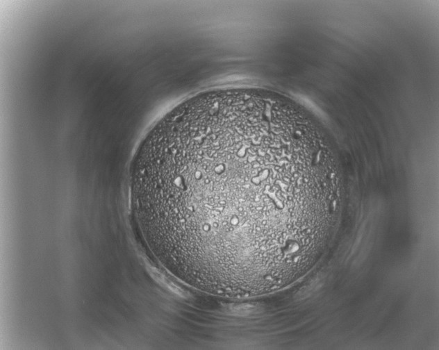 X0000067341413200604071339