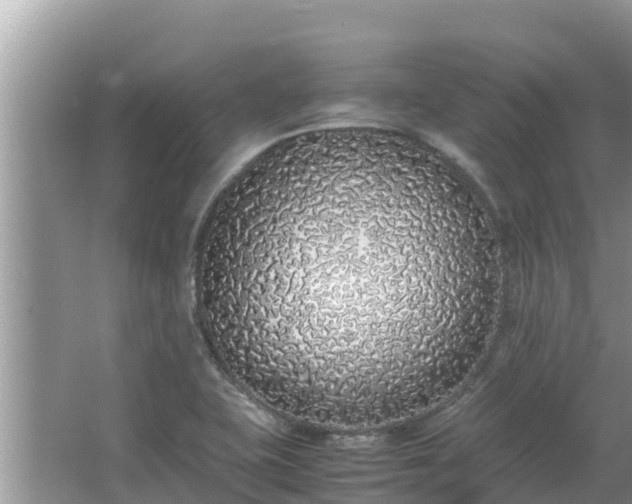 X0000067341415200604071339