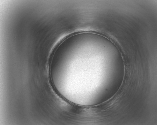 X0000067341416200604071339