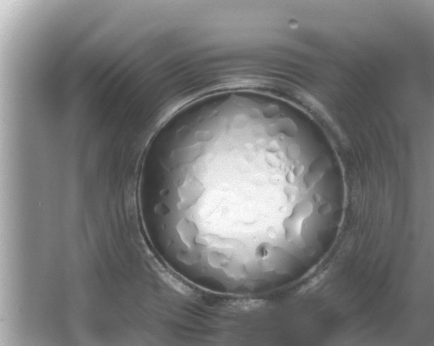 X0000067341417200604071339