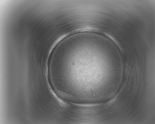 X0000067341418200604071339