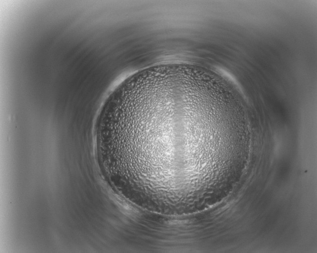 X0000067341419200604071339