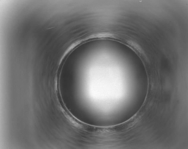 X0000067341420200604071339