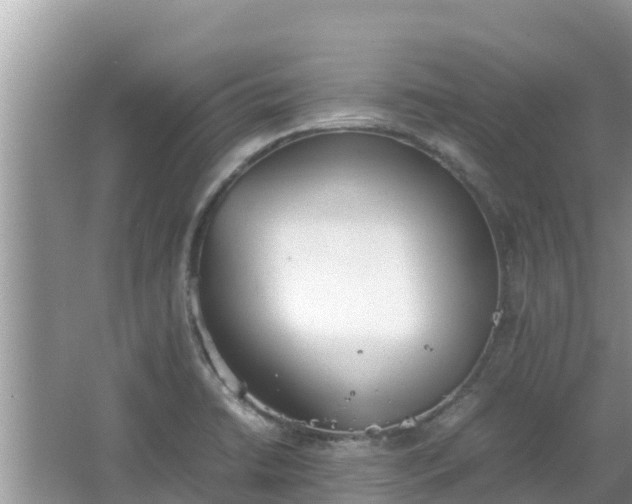 X0000067341422200604071339