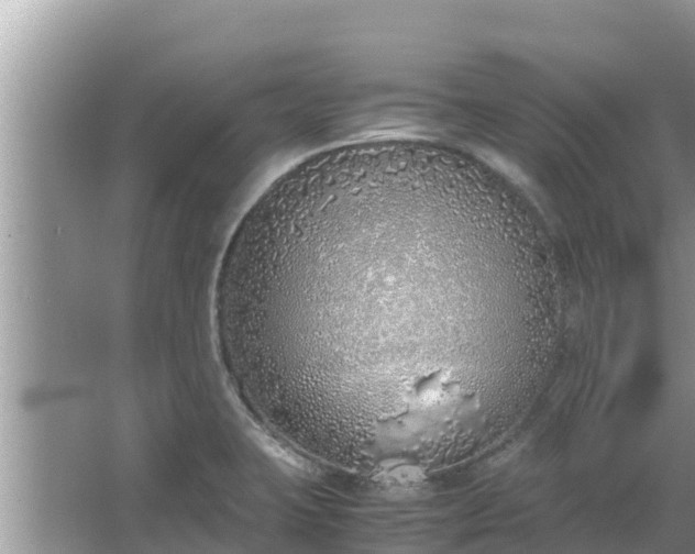 X0000067341423200604071339