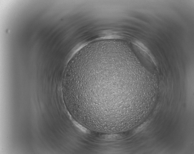 X0000067341425200604071339