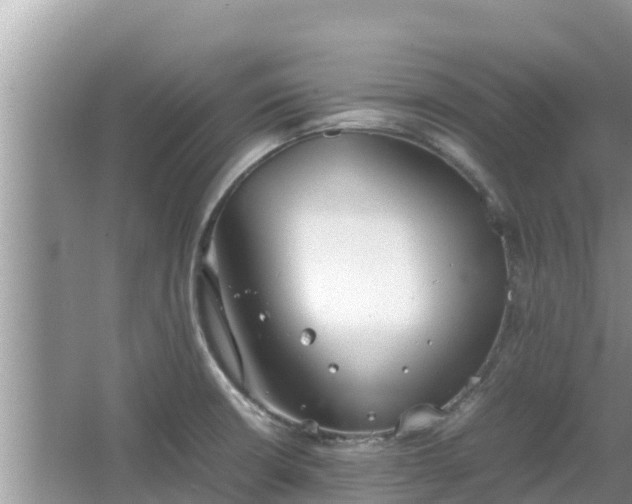 X0000067341426200604071339