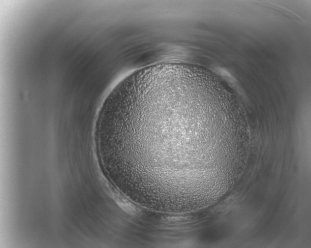 X0000067341427200604071339