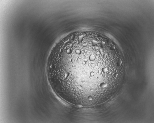 X0000067341429200604071339