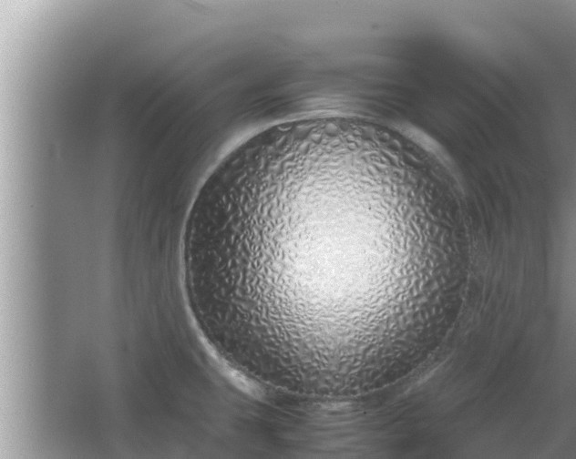 X0000067341431200604071340