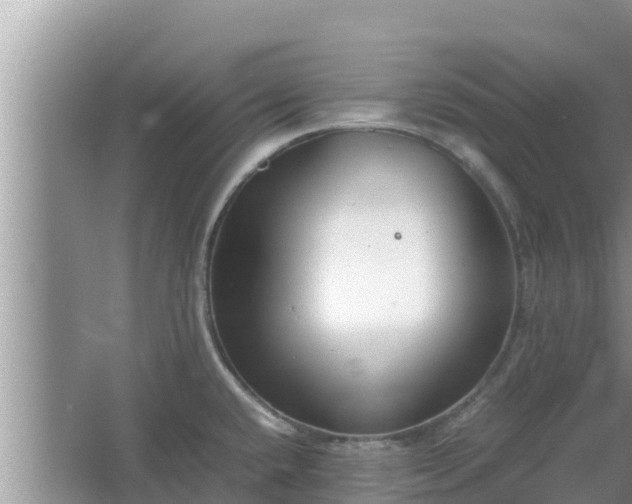 X0000067341432200604071340