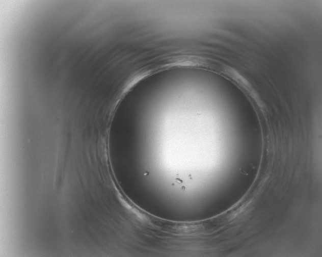 X0000067341433200604071340