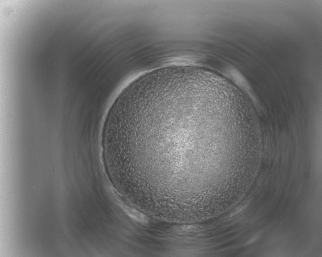 X0000067341435200604071340