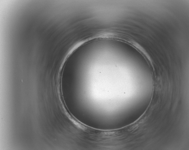 X0000067341437200604071340