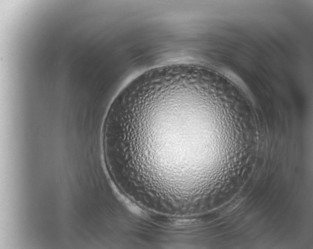 X0000067341439200604071340