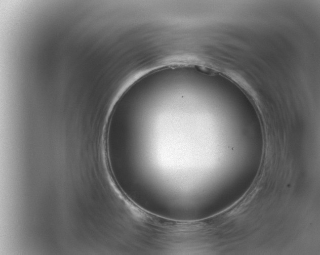 X0000067341440200604071340