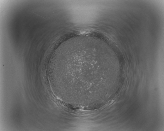 X0000067341441200604071339