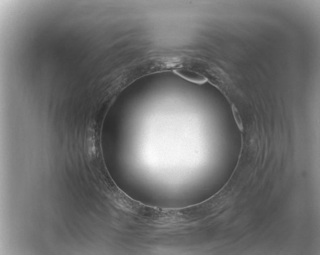 X0000067341442200604071339