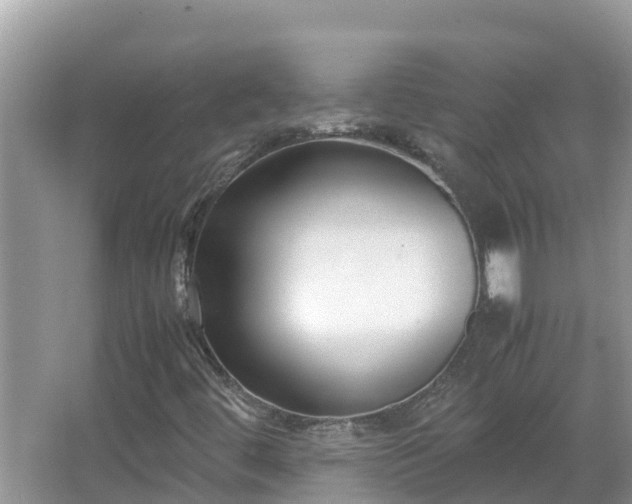 X0000067341444200604071339