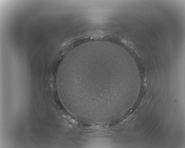 X0000067341445200604071339