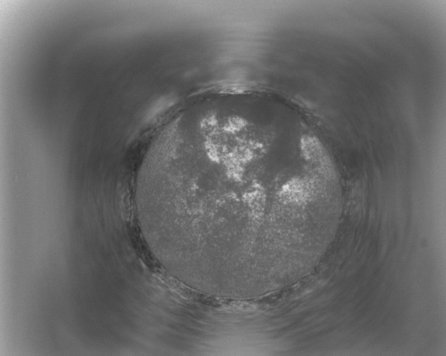 X0000067341446200604071339