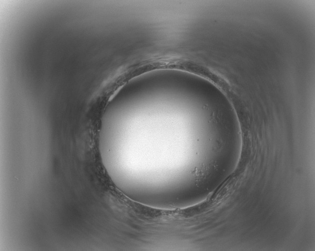 X0000067341447200604071339