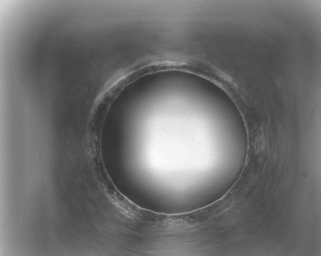 X0000067341448200604071339