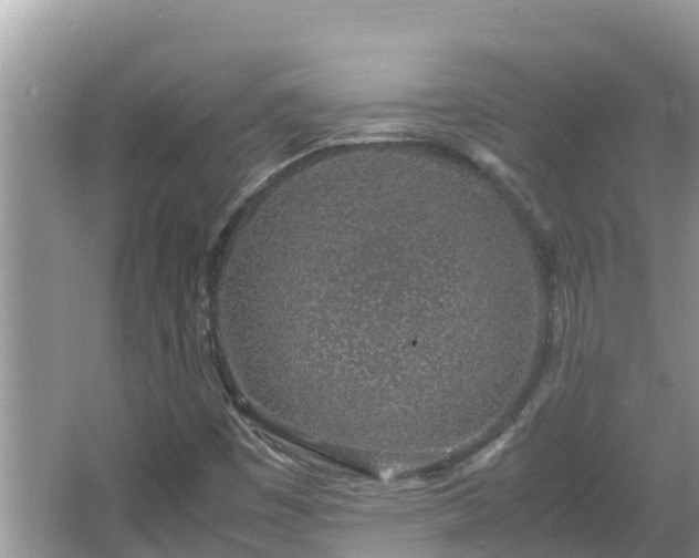 X0000067341449200604071339