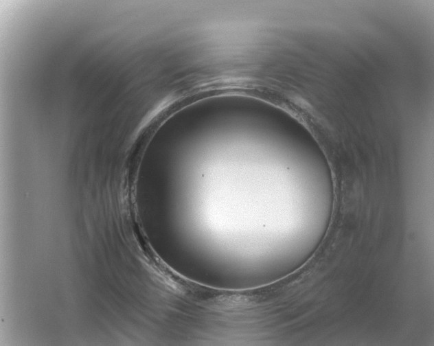 X0000067341450200604071339