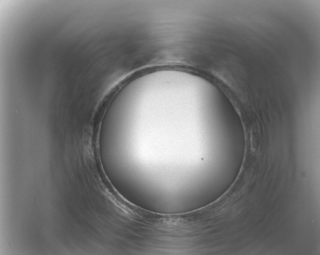 X0000067341452200604071339