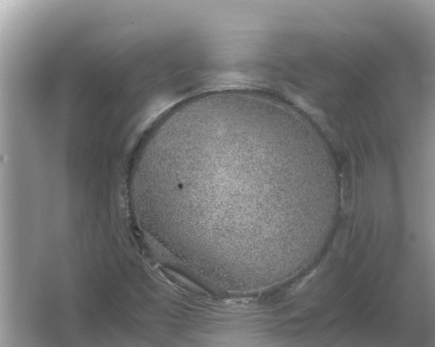 X0000067341453200604071339