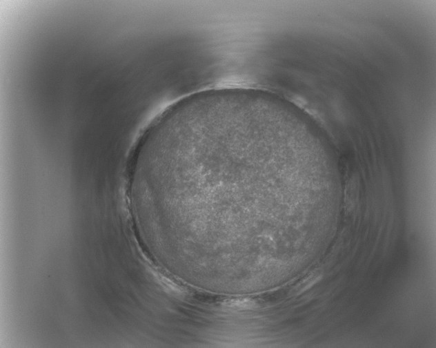 X0000067341454200604071339