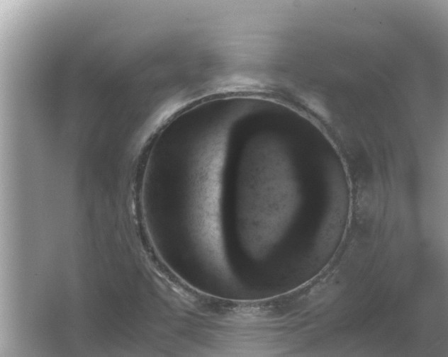 X0000067341455200604071339