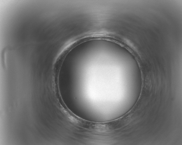 X0000067341456200604071339