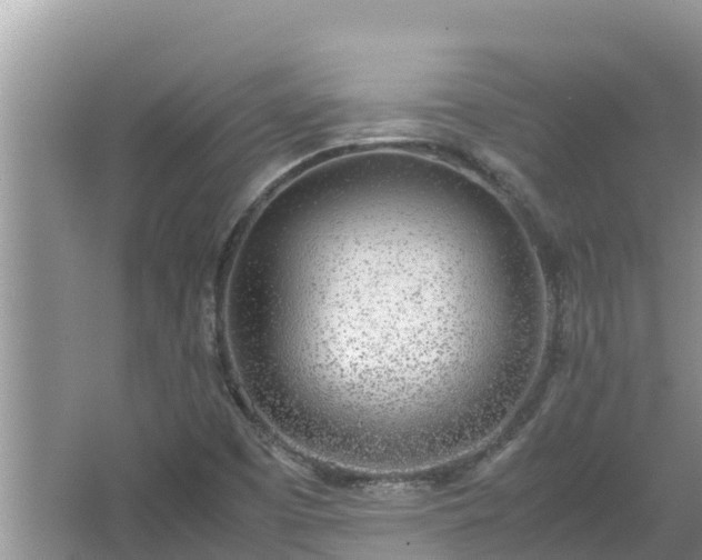 X0000067341457200604071339