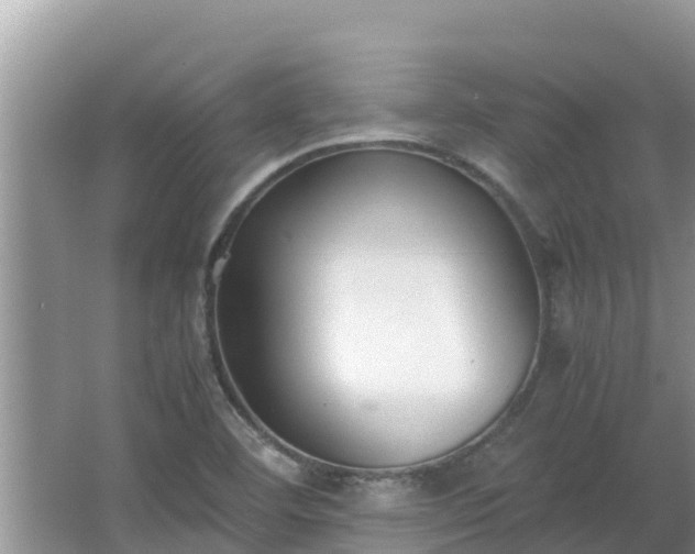 X0000067341460200604071339