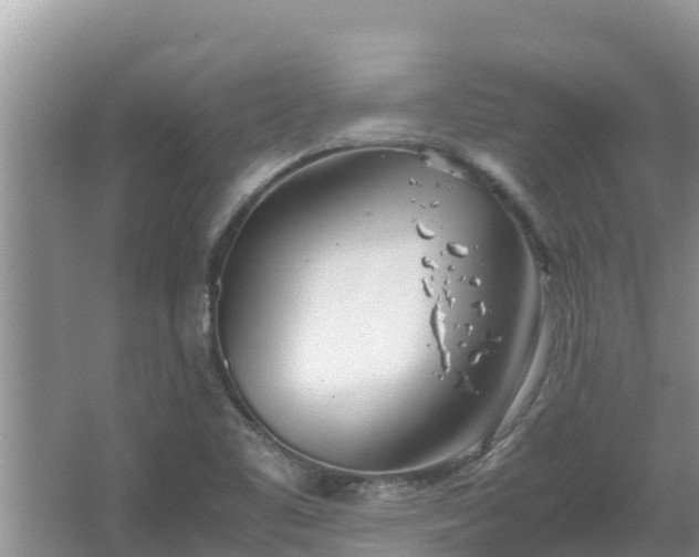 X0000067341461200604071339