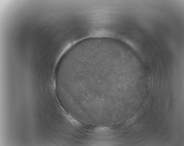 X0000067341462200604071339