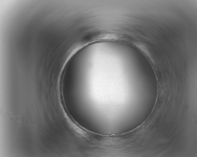 X0000067341475200604071338