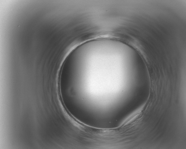 X0000067341483200604071338