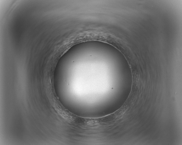 X0000067341489200604071337