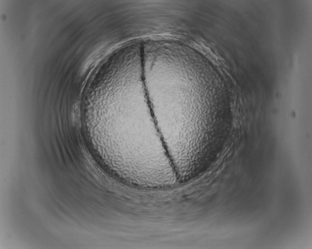 X0000067340002200604131737