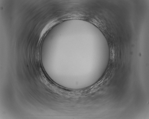 X0000067340004200604131737