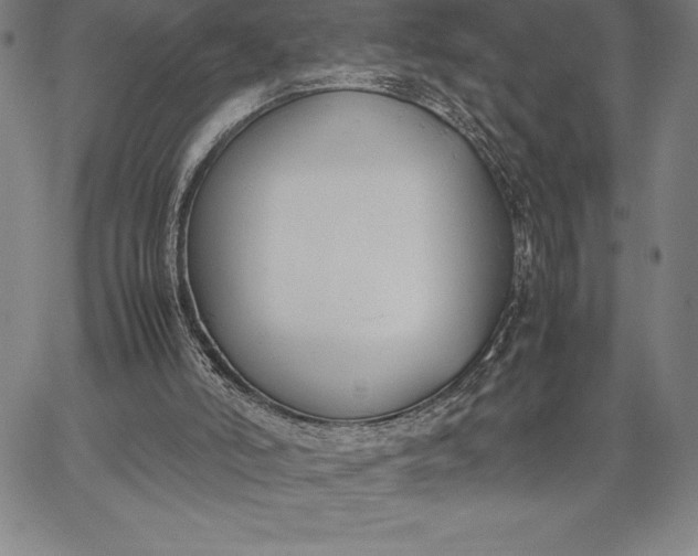 X0000067340006200604131737