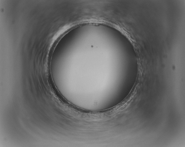 X0000067340008200604131737